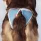 Трусы для собак многоразовые, впитывающие OSSO Fashion Absorb, S, обхват 28-44 см