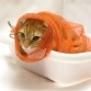 Сумка для купания и груминга кошек, размер S, для маленьких кошек и котят, Osso