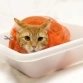 Сумка для купания и груминга кошек, размер M, для кошек средних размеров, Osso