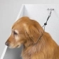 Петля для удержания собаки (ринговка-трос) с карабином, 38 см