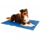 Охлаждающий коврик для собак (30х40см), Show Tech Cool Mat
