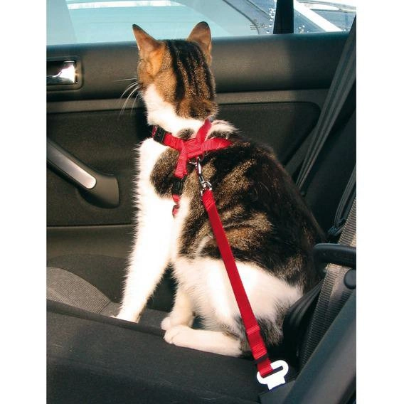 Автомобильный ремень безопасности со шлейкой для кошки, Trixie 1294